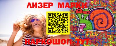 apvp Гатчина