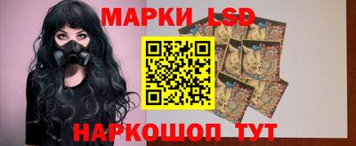 apvp Гатчина
