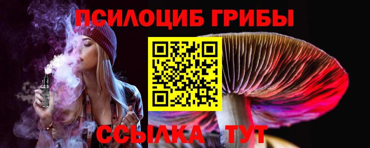 Галлюциногенные грибы мицелий Щёлково