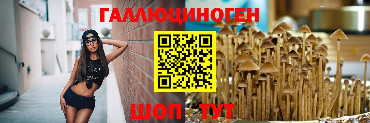 Псилоцибиновые грибы прущие грибы  Псилоцибиновые грибы мухоморы  Щёлково  Вход с VPN 